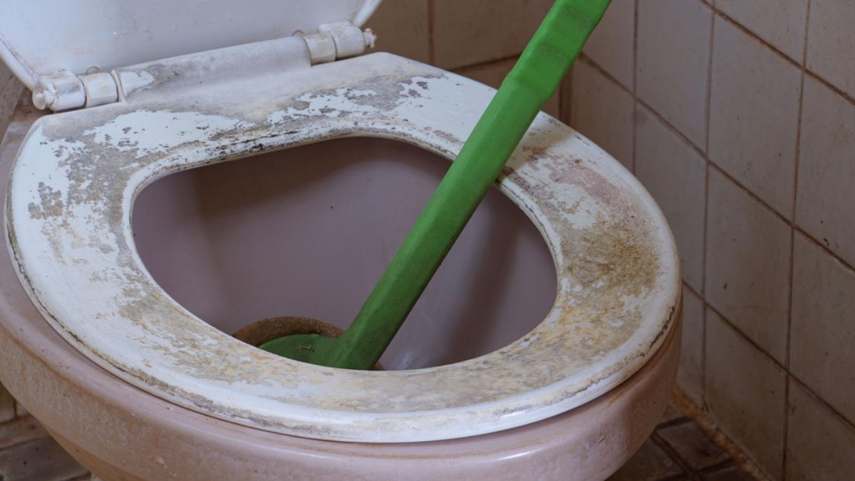 Truco infalible para destapar el inodoro en pocos segundos y sin gastar dinero